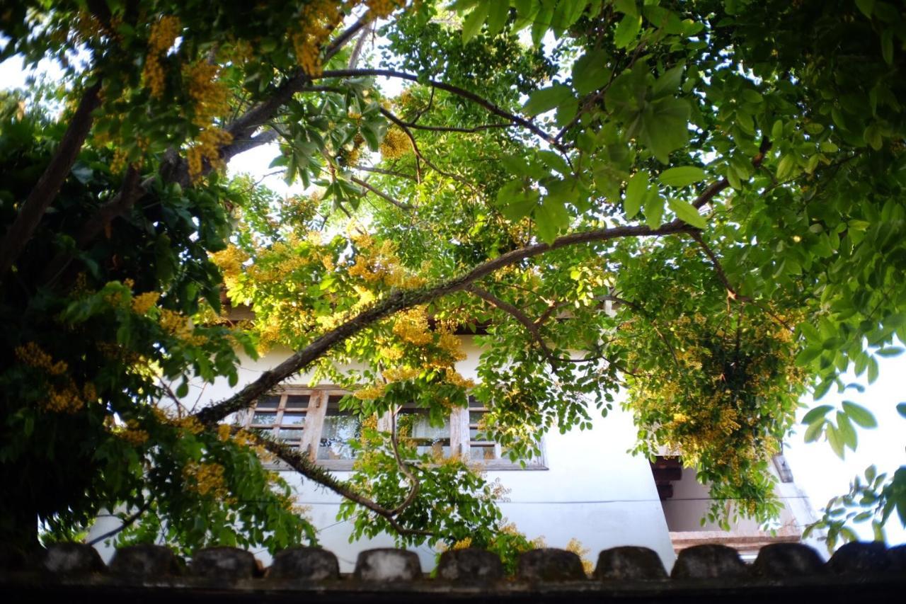 Mali Home Hoi An Exterior foto